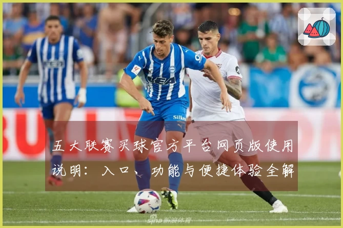 五大联赛买球官方平台网页版使用说明：入口、功能与便捷体验全解析